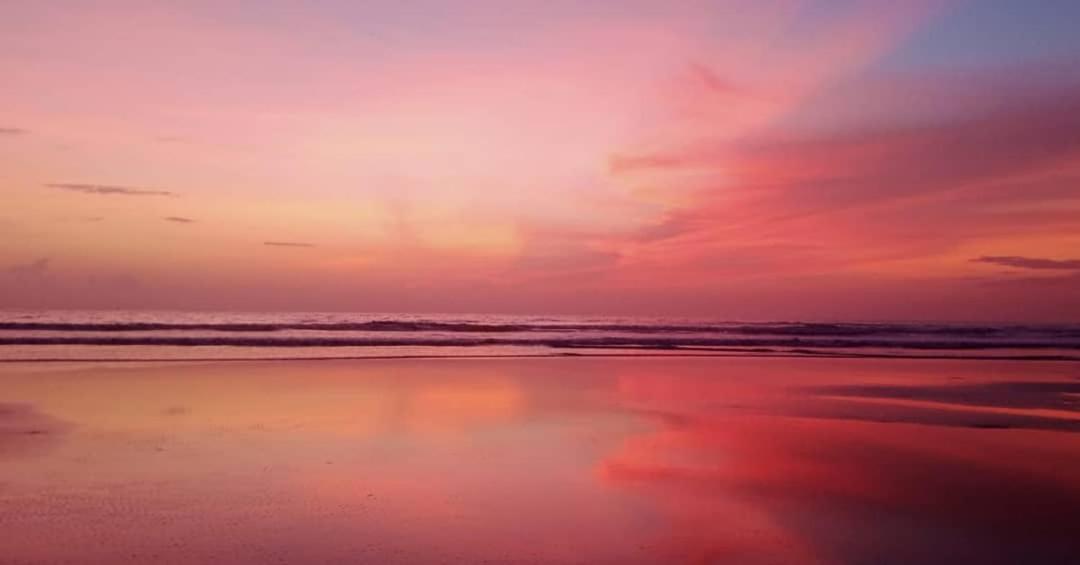 Dreamcatcher House & Hostel At Arambol Beach Bagian luar foto